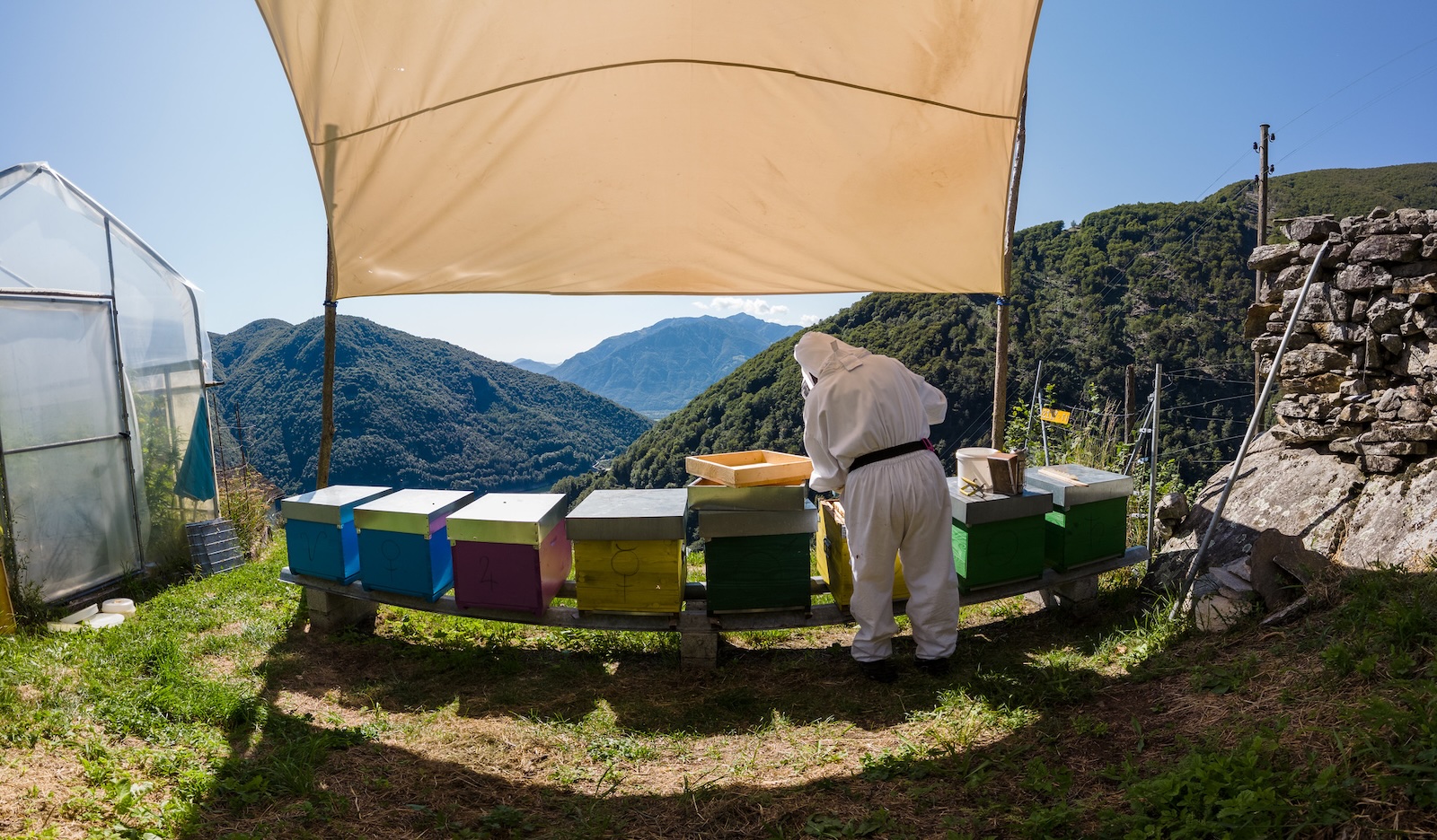 Fotografie degli apiari in Ticino